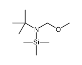 N-(methoxymethyl)-2-methyl-N-trimethylsilylpropan-2-amine Structure