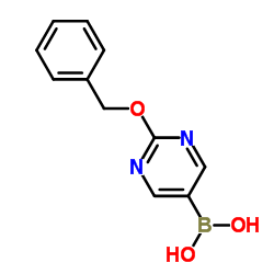 [2-(Benzyloxy)-5-pyrimidinyl]boronic acid picture