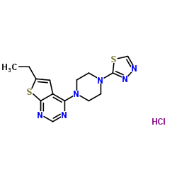 6-Ethyl-4-[4-(1,3,4-thiadiazol-2-yl)-1-piperazinyl]thieno[2,3-d]pyrimidine Hydrochloride Structure