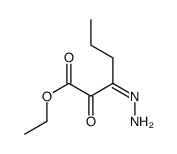 ethyl 3-hydrazinylidene-2-oxohexanoate结构式