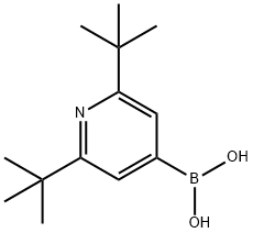 2,6-bis(tert-butyl)pyridine-4-boronic acid结构式