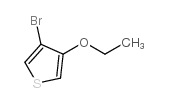 Thiophene, 3-bromo-4-ethoxy- (9CI) Structure