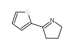 2H-Pyrrole,3,4-dihydro-5-(2-thienyl)- picture