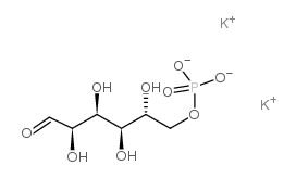 d-glucose-6-phosphate dipotassium salt picture