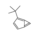 2-tert-butylbicyclo[3.1.0]hexa-1,3,5-triene结构式
