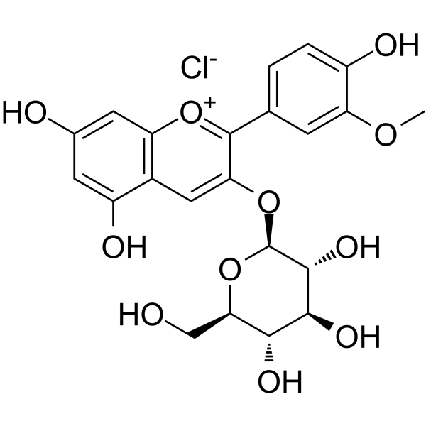 Peonidin-3-O-glucoside chloride picture