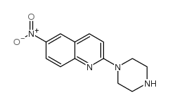 6-NITRO-2-PIPERAZIN-1-YL-QUINOLINE picture