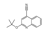 Cinchoninonitrile,2-tert-butoxy- (4CI)结构式