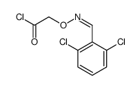 2-[(2,6-dichlorophenyl)methylideneamino]oxyacetyl chloride Structure