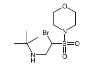 N-(2-bromo-2-morpholin-4-ylsulfonylethyl)-2-methylpropan-2-amine结构式