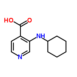 3-(Cyclohexylamino)isonicotinic acid结构式