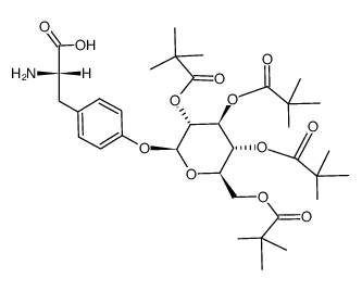 O-(2,3,4,6-Tetra-O-pivaloyl-β-D-glucopyranosyl)-L-tyrosin结构式