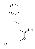 methyl 4-phenylbutanimidate,hydrochloride结构式