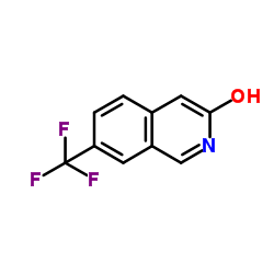7-(trifluoromethyl)isoquinolin-3-ol picture
