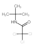 Acetamide,2,2,2-trichloro-N-(1,1-dimethylethyl)-结构式