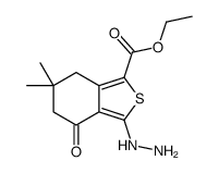 ETHYL 6,6-DIMETHYL-3-HYDRAZINO-4-OXO-4,5,6,7-TETRAHYDROBENZO(C)THIOPHENE-1-CARBOXYLATE, TECH. structure
