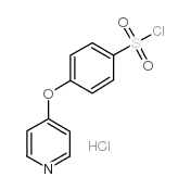 4-(PYRIDIN-4-YLOXY)BENZENE-1-SULFONYL CHLORIDE structure