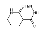 3-Piperidinecarboxylicacid,2-oxo-,hydrazide(9CI) Structure