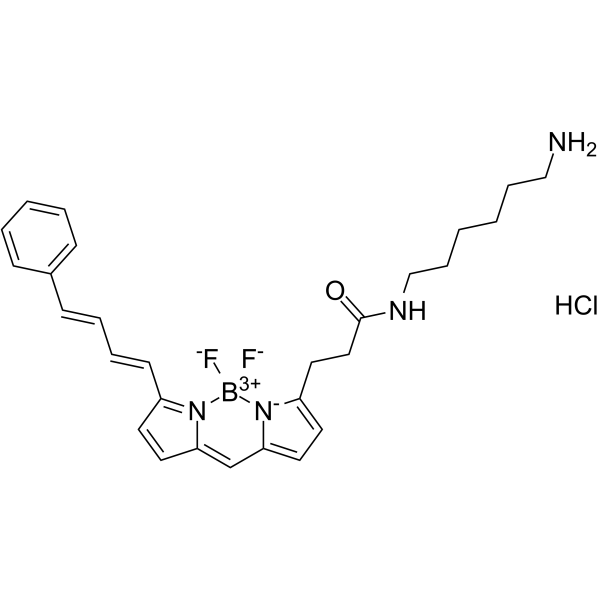 BDP 581/591 amine hydrochloride结构式