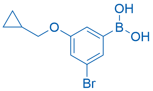 (3-Bromo-5-(cyclopropylmethoxy)phenyl)boronic acid Structure