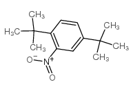 1,4-ditert-butyl-2-nitrobenzene Structure