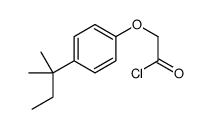 2-[4-(2-methylbutan-2-yl)phenoxy]acetyl chloride结构式
