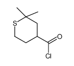 2H-Thiopyran-4-carbonylchloride,tetrahydro-2,2-dimethyl-(9CI) picture