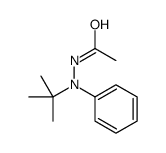 N'-tert-butyl-N'-phenylacetohydrazide picture