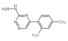 [5-(2,4-dimethylphenyl)-1,2,4-triazin-3-yl]hydrazine Structure