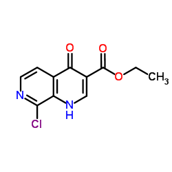 Ethyl 8-chloro-4-oxo-1,4-dihydro-1,7-naphthyridine-3-carboxylate结构式