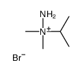 amino-dimethyl-propan-2-ylazanium,bromide Structure