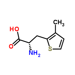 3-(3-Methyl-2-thienyl)-L-alanine structure