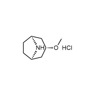 (3-exo)-3-methoxy-8-azabicyclo[3.2.1]octanehydrochloride Structure