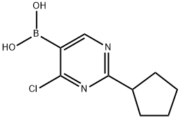 4-Chloro-2-(cyclopentyl)pyrimidine-5-boronic acid picture