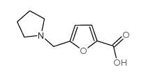 5-pyrrolidin-1-ylmethyl-furan-2-carboxylic acid structure