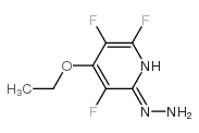 2(1H)-Pyridinone,4-ethoxy-3,5,6-trifluoro-,hydrazone(9CI) Structure