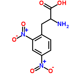 2,4-Dinitrophenylalanine picture