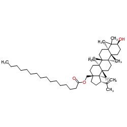 (3β)-28-Hydroxylup-20(29)-en-3-yl palmitate picture