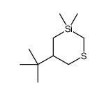 5-tert-Butyl-3,3-dimethyl-1-thia-3-silacyclohexane结构式