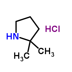 2,2-二甲基吡咯烷盐酸盐图片