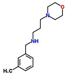 N-(3-Methylbenzyl)-3-(4-morpholinyl)-1-propanamine结构式