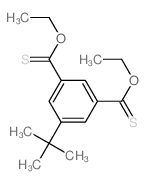 1,3-Benzenedicarbothioicacid, 5-(1,1-dimethylethyl)-, 1,3-diethyl ester structure