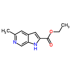 1H-Pyrrolo[2,3-c]pyridine-2-carboxylicacid,5-methyl-,ethylester(9CI)结构式