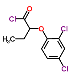 2-(2,4-Dichlorophenoxy)butanoyl chloride Structure