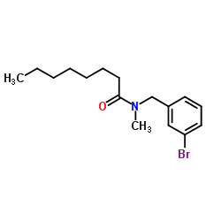 N-(3-Bromobenzyl)-N-methyloctanamide结构式