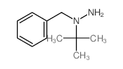 1-benzyl-1-tert-butyl-hydrazine结构式