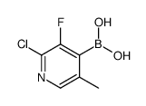 2-Chloro-3-fluoro-5-methylpyridine-4-boronic acid picture