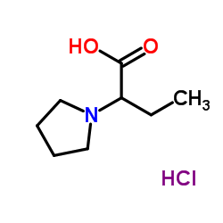 2-Pyrrolidin-1-yl-butyric acid hydrochloride结构式