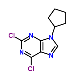 2,6-Dichloro-9-cyclopentyl-9H-purine picture