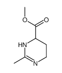 4-Pyrimidinecarboxylicacid,1,4,5,6-tetrahydro-2-methyl-,methylester(9CI) structure